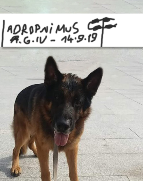 Adropnimus